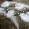 N1520terc_boucles_longues_plumes_blanches