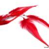 N1520tertera_boucles_doreilles_plumes_rouges