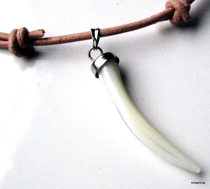 N2379a_collier_cuir_homme_dent_de_tigre