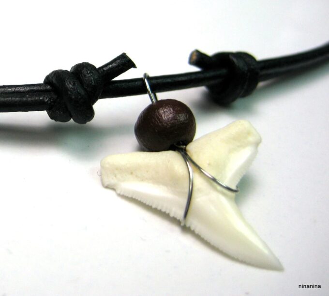 N2438tera_collier_cordon_cuir_dent_de_requin