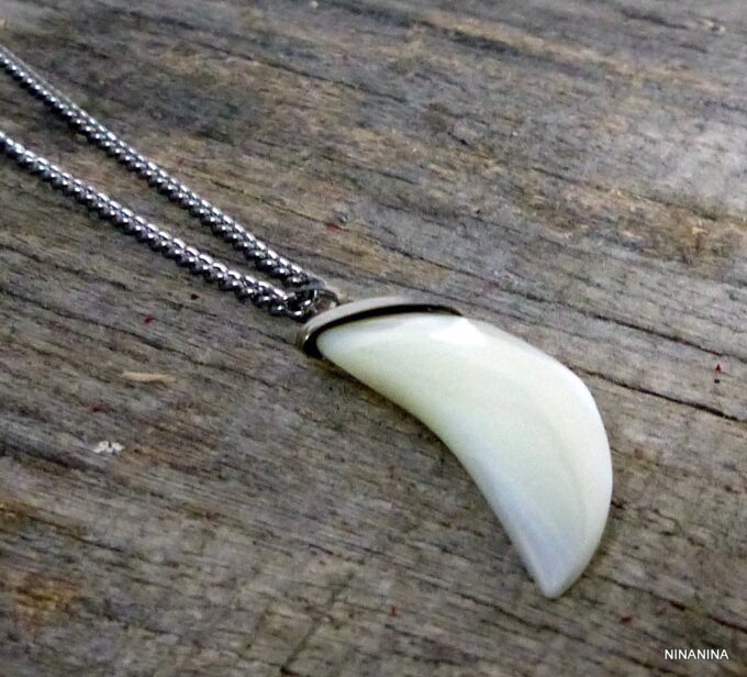 N2486terc_Collier_long_-_sautoir_dent_de_requin_nacre_acier_inoxydable