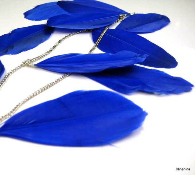 N3540b_boucles_plumes_longues_noires