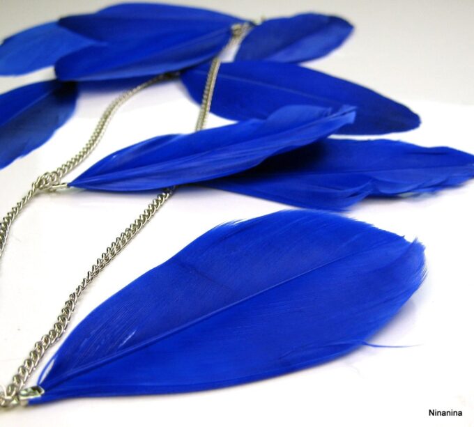 N3540h_boucles_plumes_longues_noires