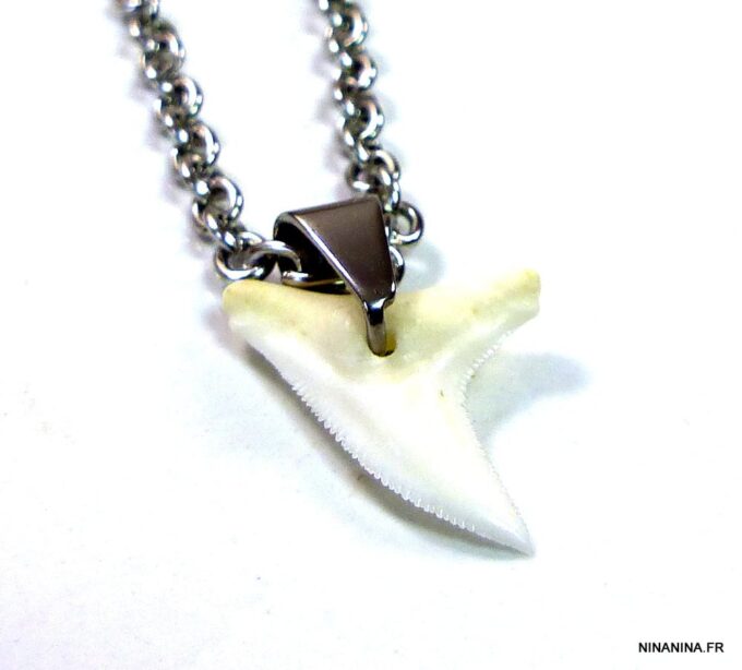 N3556tera_collier_dent_de_requin_acier_inoxydable-1