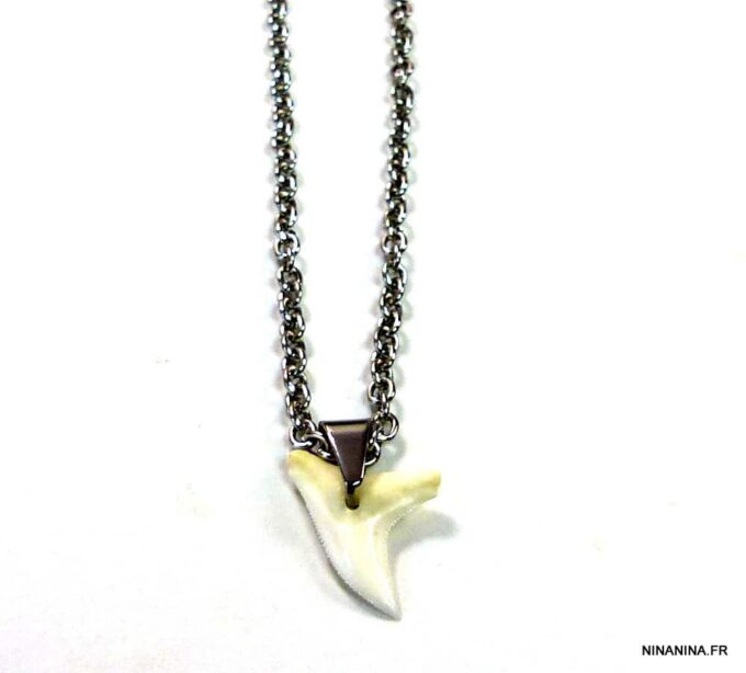 N3556terb_collier_dent_de_requin_acier_inoxydable-1