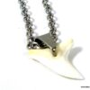 N3556tere_collier_dent_de_requin_acier_inoxydable