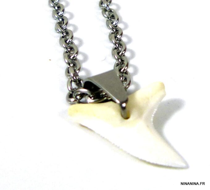 N3556tere_collier_dent_de_requin_acier_inoxydable