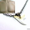 N3556terg_collier_dent_de_requin_acier_inoxydable