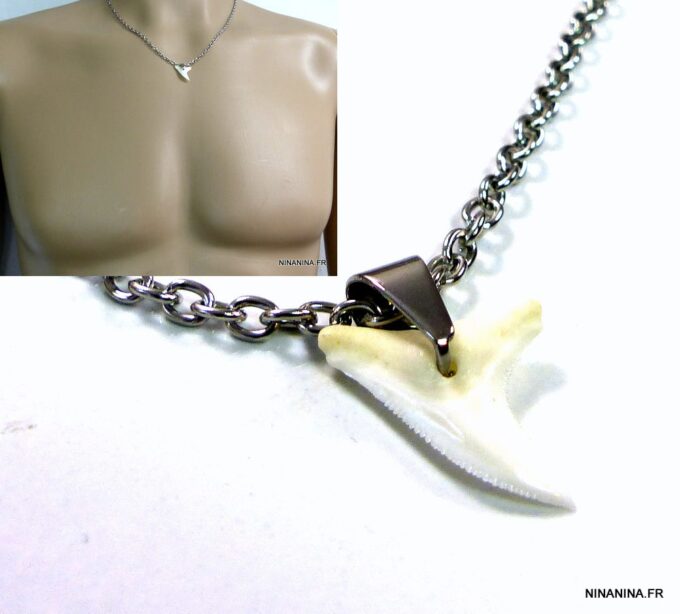 N3556terg_collier_dent_de_requin_acier_inoxydable