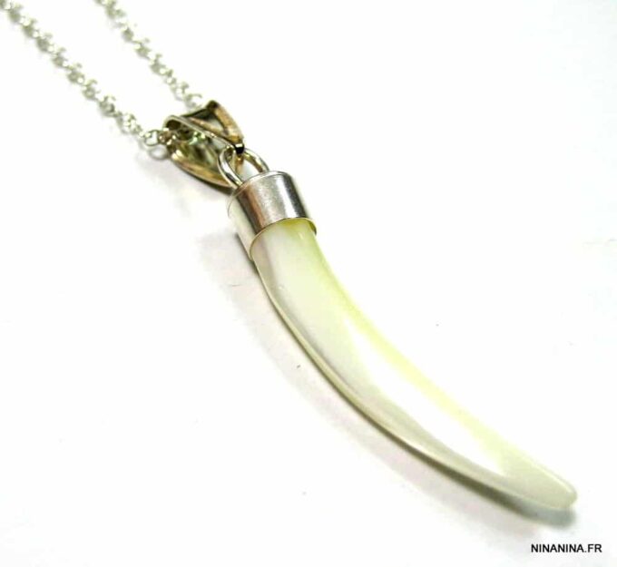 N4575a_chaine_de_taille_dent_de_tigre_nacre