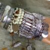 N4590ter_Bracelet_wrap_perles_ivoires_plumes_argent-2