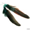 N4596a_boucles_plumes_et_turquoises_argent_massif