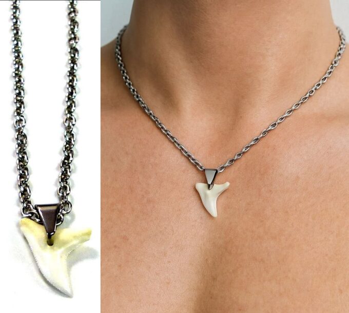 N3556 Collier homme pendentif dent de requin véritable et Acier inoxydable argenté - Bijoux Colliers hommes en ligne Ninanina