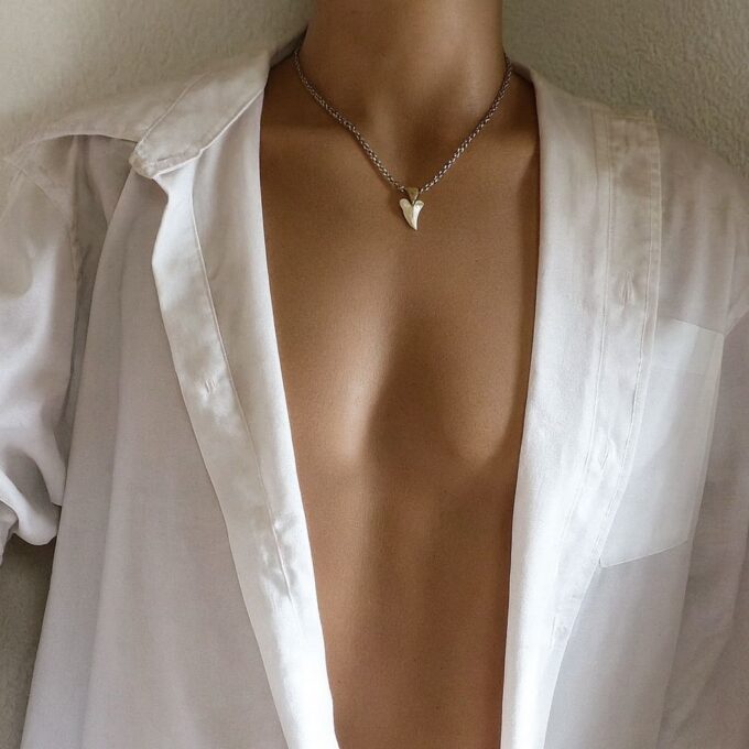 N3556c Collier homme pendentif dent de requin véritable et Acier inoxydable argenté - Bijoux Colliers hommes en ligne Ninanina