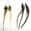 N4454b_boucles_creoles_argent_massif_et_longues_plumes